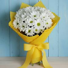 Букет цветов из:  Хризантемы в Ростовке