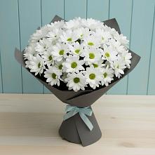 Букет цветов из:  Хризантемы в Ростовке