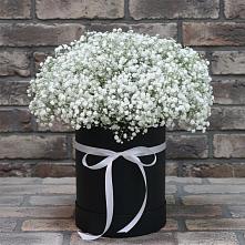 Цветочная композиция из Гипсофила в шляпной коробке в Ростовке