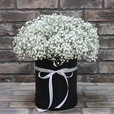 Цветочная композиция из Гипсофила в шляпной коробке в Ростовке